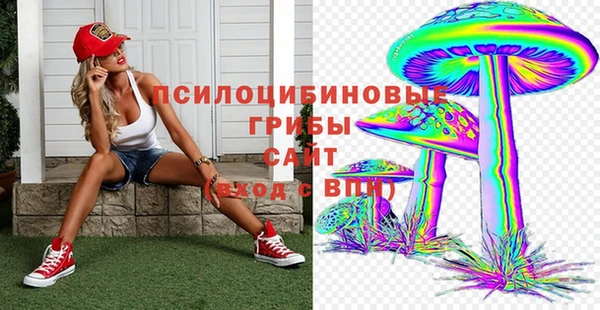 spice Кинешма