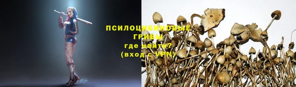 spice Кинешма