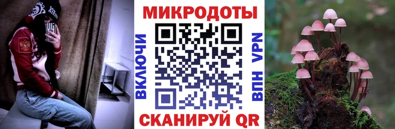 Псилоцибиновые грибы Magic Shrooms  Купить закладки  Дубна 