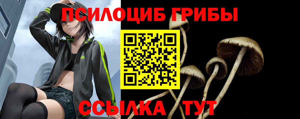 Галлюциногенные грибы прущие грибы  как найти закладки  Дубна  Вход с VPN 